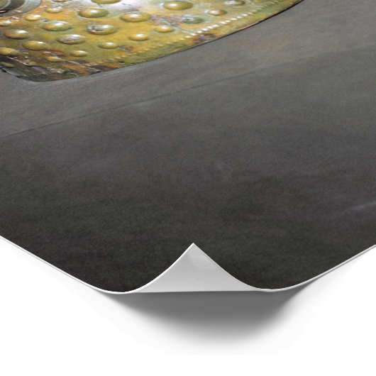 Poster Casque viking (Coin)