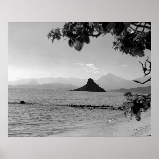 Poster Casquette chinois _bw (Devant)