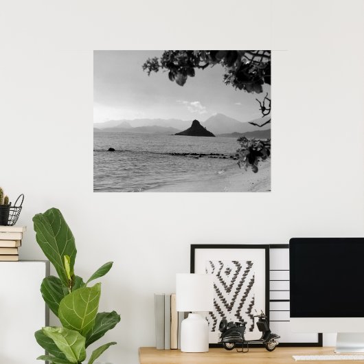 Poster Casquette chinois _bw (Bureau à domicile)