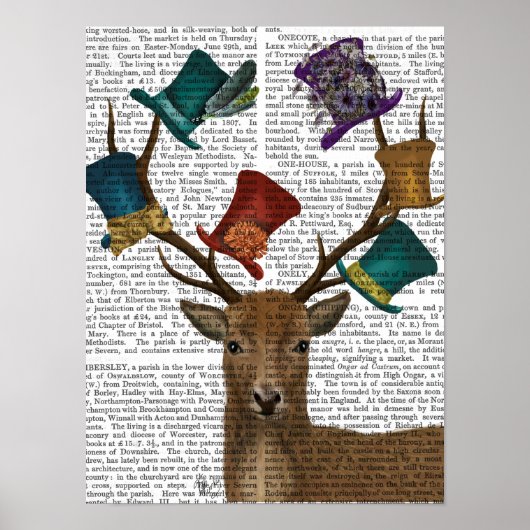Poster Casquette Collector Deer (Devant)