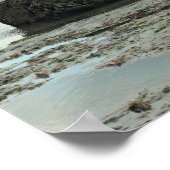 Poster Casquette d'or, Dorset (Coin)