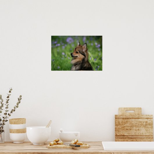 Poster Casquette Poméranie (Cuisine)