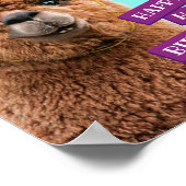 Poster Casquettes du parti Alpaca (Coin)