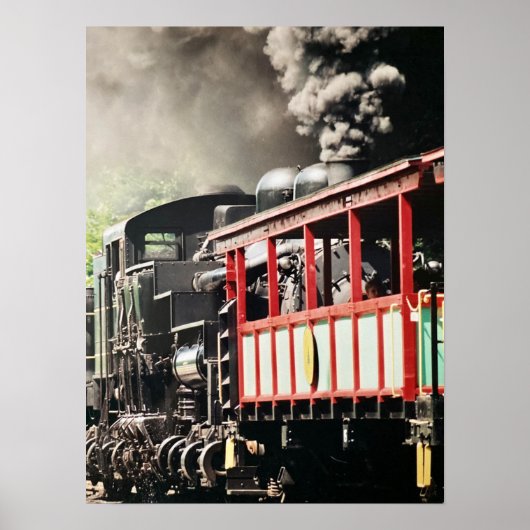 Poster "Cass Pittoresque Railroad" - Photo (Devant)