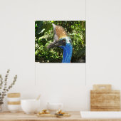 Poster Cassowary Portrait (Cuisine)