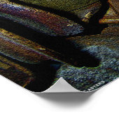 Poster Casters (Coin)