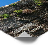 Poster Castillo de San Marcos, Monument National, Floride (Coin)