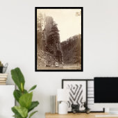 Poster Castle Rock SD 1888 (Bureau à domicile)