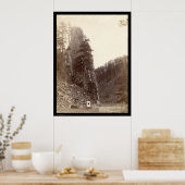 Poster Castle Rock SD 1888 (Cuisine)