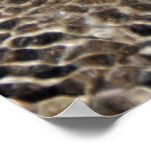 Poster Castlepoint (Coin)