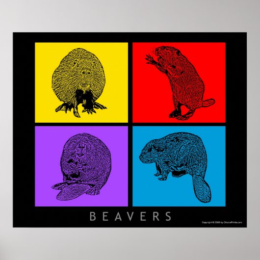 Poster Castor coloré (Devant)