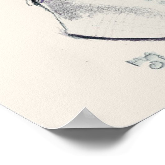 Poster Castor Fibre 2001 (Coin)