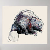 Poster Castor Fibre 2001 (Devant)