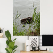 Poster Castor occupé (Bureau à domicile)