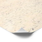 Poster Casuarina Trees, Long Island Bahamas (Coin)