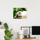 Poster Cat (Bureau à domicile)