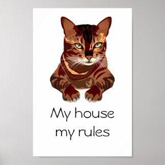 Poster Cat