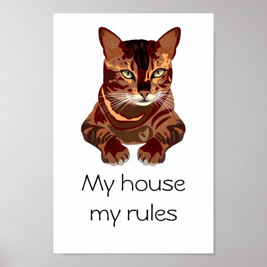 Poster Cat (Devant)