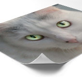 Poster Cat (Coin)