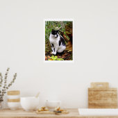 POSTER CAT (Cuisine)