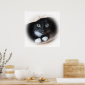 Poster Cat (Cuisine)