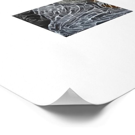 Poster Cat3 - Photobomb (Coin)