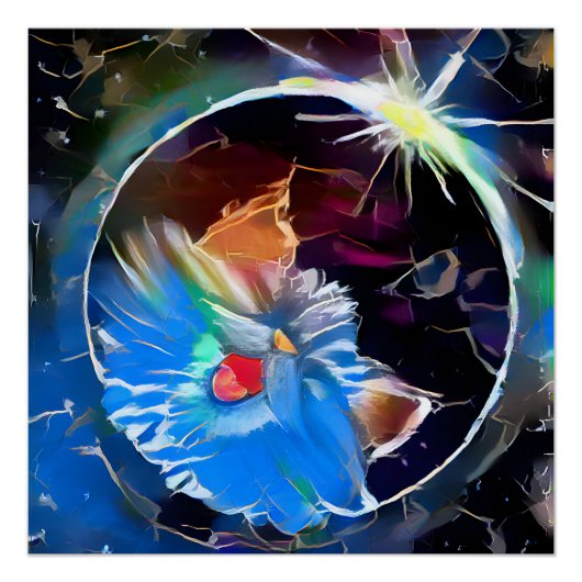 Poster Cat6 - Élipse solaire (Devant)