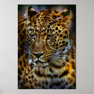 Poster cat-301154 WILD BIG CAT LEOPARD PHOTOGRAPHIE ANIMA