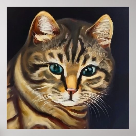 Poster Cat américain shorthair (Devant)