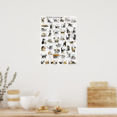 Poster Cat Body (Cuisine)