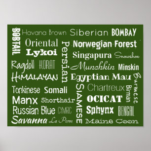 Poster Cat Breeds
