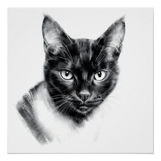 Poster Cat Charcoal (Devant)