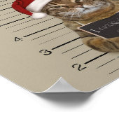 Poster Cat Christmas (Coin)