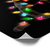 Poster Cat Christmas Light Funny Cat Lover Christmas (Coin)