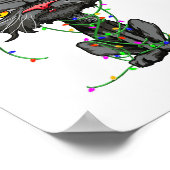 Poster Cat Christmas Lights Bored Cat Santa Hat Funny Cat (Coin)