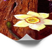 Poster Cat Daffodils Grange Art original Créationarts (Coin)