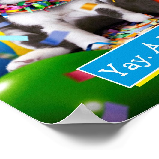 Poster Cat dans le cône de partie (Coin)