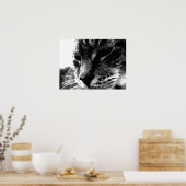 Poster Cat fantôme (Cuisine)