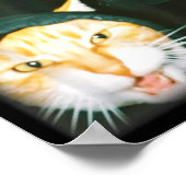 Poster Cat Gang Meme Funny Chaotic Cats Unhinged Feline H (Coin)