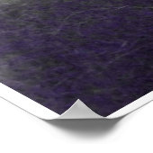 Poster Cat humour (Coin)