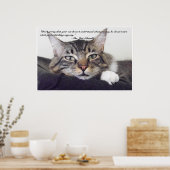 Poster Cat humour (Cuisine)