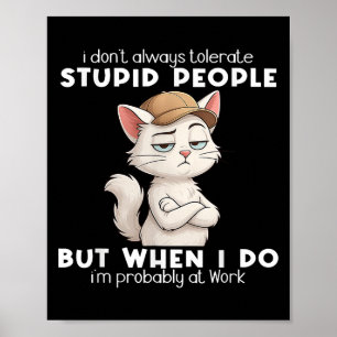 Poster Cat I Ne Tolère Pas Toujours Les Gens Stupides