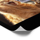 Poster Cat Lives (Coin)