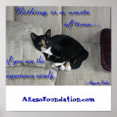 Poster Cat Naps (Devant)