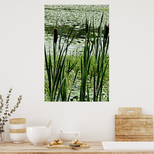 Poster Cat O Neuf Queues et Lilles d'eau blanche Imprimer (Cuisine)