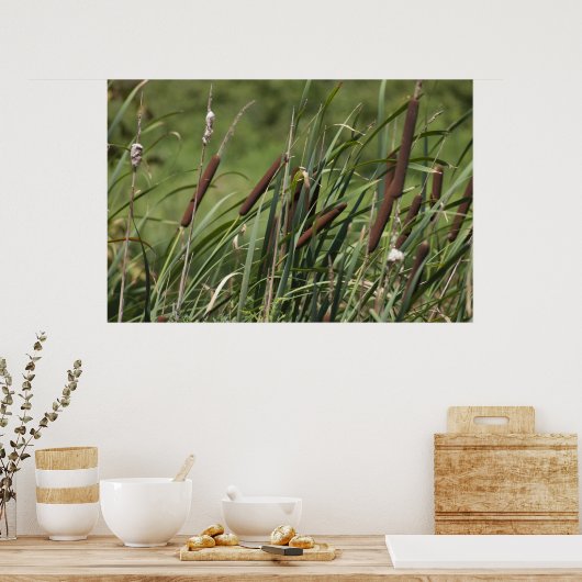 Poster Cat o'neuf queues (Cuisine)