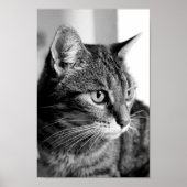 Poster Cat portrait - the thinker (Devant)