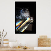 Poster Cat Rainbow Bridge (Cuisine)