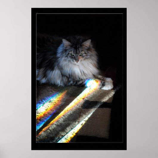 Poster Cat Rainbow Bridge (Devant)