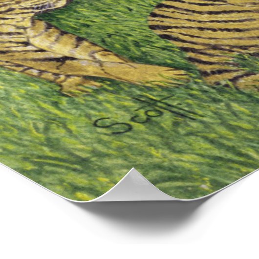 Poster Cat Safari (Coin)